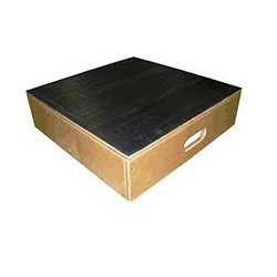 Bailey Bariatric Platform Stool