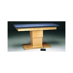 Bailey Professional Hi-Lo Treatment Table