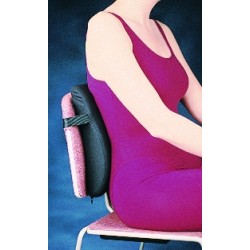 Bird & Cronin Extensor Low Profile Back Cushion