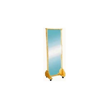 Mobile Posture Mirror